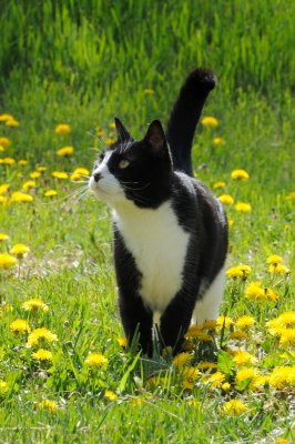 DSC_9741.JPG