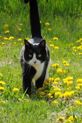 DSC_9742.JPG