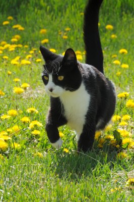 DSC_9743.JPG