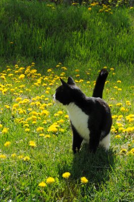 DSC_9744.JPG