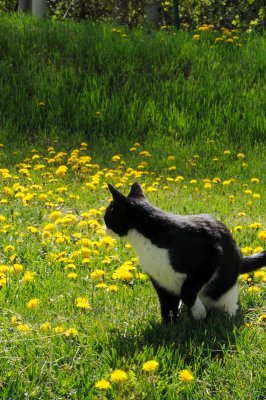 DSC_9745.JPG