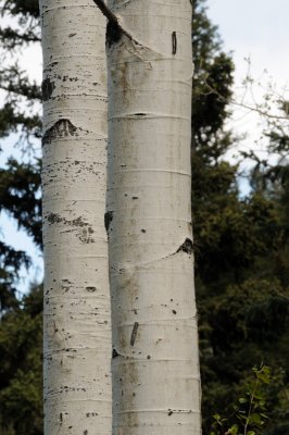 DSC_9760.JPG