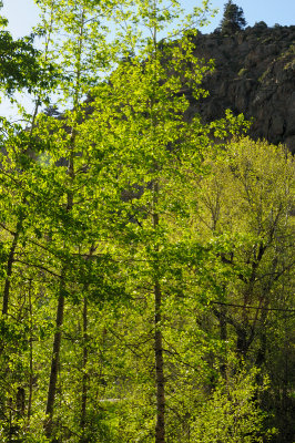 DSC_9901.JPG