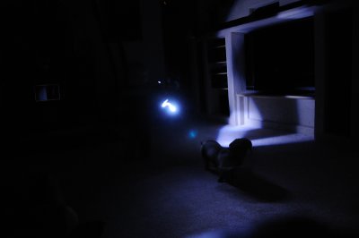 DSC_9961.JPG