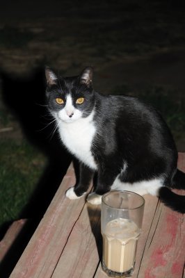 DSC_0491.JPG