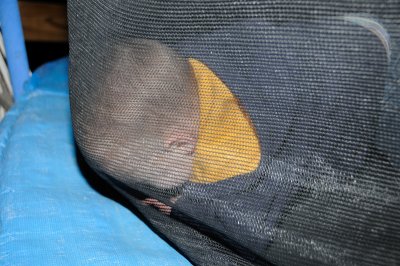 DSC_0504.JPG