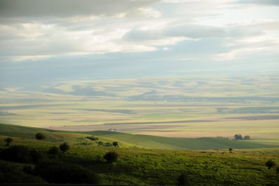 DSC_0530.JPG
