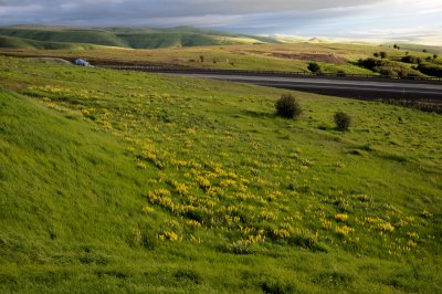 DSC_0532.JPG