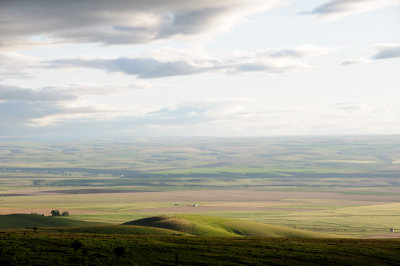 DSC_0535.JPG