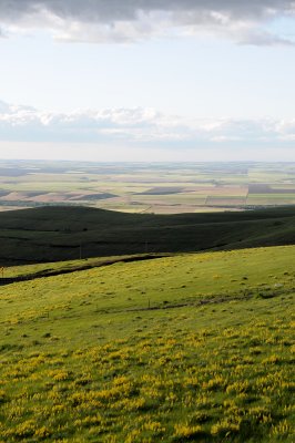 DSC_0537.JPG