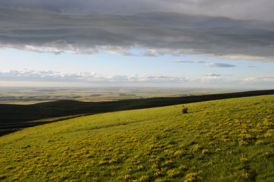 DSC_0542.JPG
