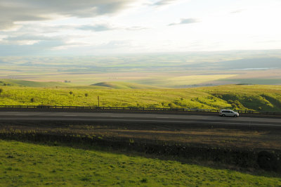 DSC_0546.JPG