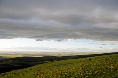DSC_0555.JPG