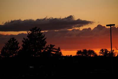 DSC_0646.JPG