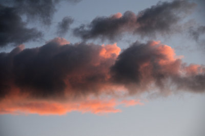 DSC_0669.JPG