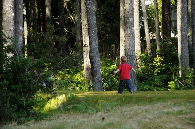 DSC_1017.JPG