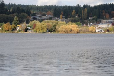 DSC_2569.JPG
