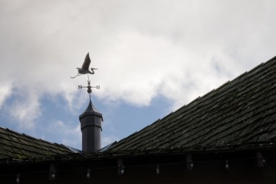 DSC_2614.JPG