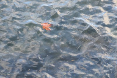 DSC_2616.JPG