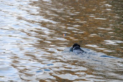 DSC_2618.JPG