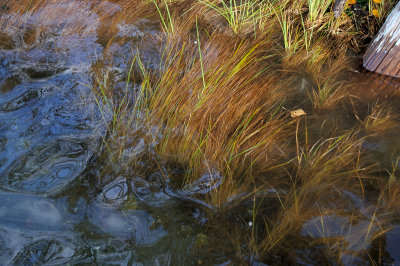 DSC_2632.JPG