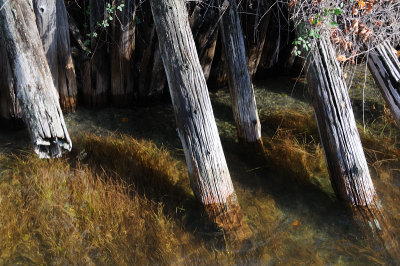 DSC_2638.JPG
