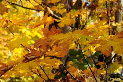 DSC_2656_01.JPG