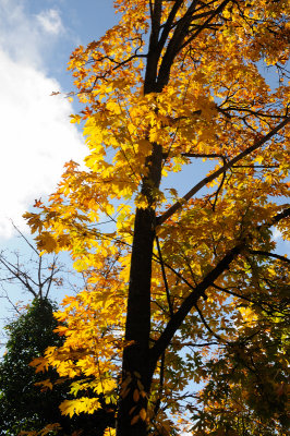 DSC_2659.JPG