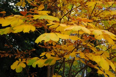 DSC_2667.JPG