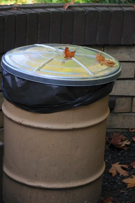 DSC_2678.JPG