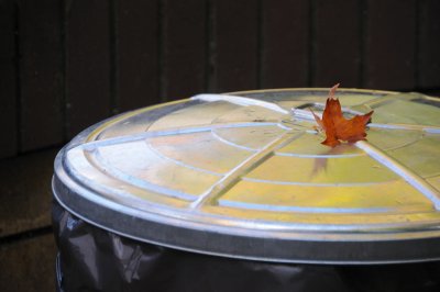 DSC_2679.JPG