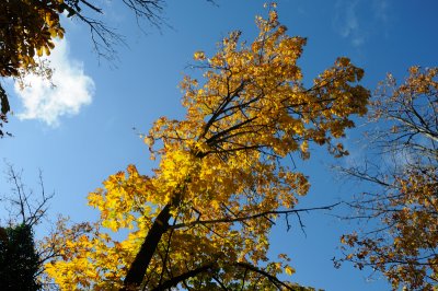 DSC_2681.JPG
