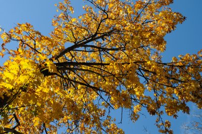 DSC_2682.JPG