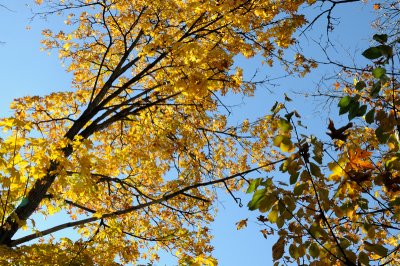 DSC_2691.JPG