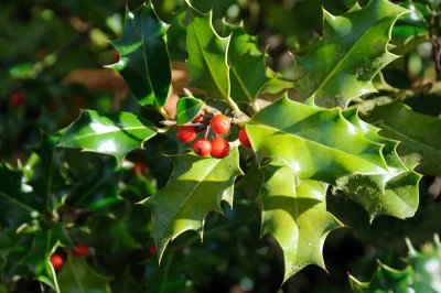 DSC_2692.JPG