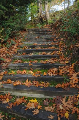 DSC_2704.JPG