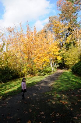 DSC_2710.JPG
