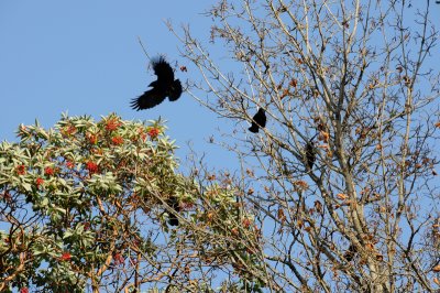 DSC_2711.JPG