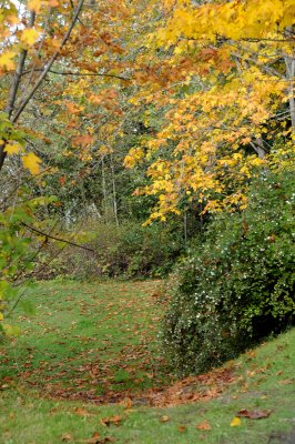 DSC_2720.JPG
