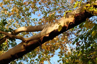 DSC_2721.JPG