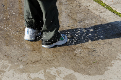 DSC_2779.JPG