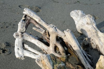 DSC_2795.JPG