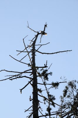 DSC_2921.JPG