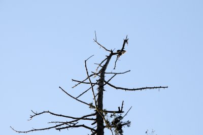 DSC_2922.JPG