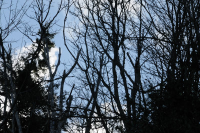 DSC_2924.JPG