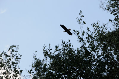 DSC_2953.JPG