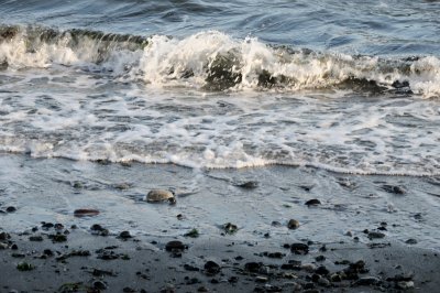 DSC_2956.JPG