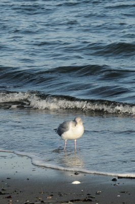 DSC_2962.JPG