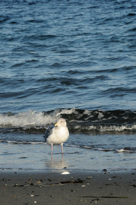 DSC_2963.JPG