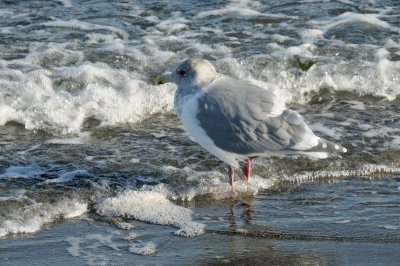 DSC_2969.JPG